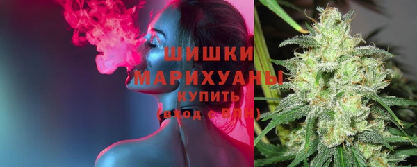 эйфоретик Зерноград