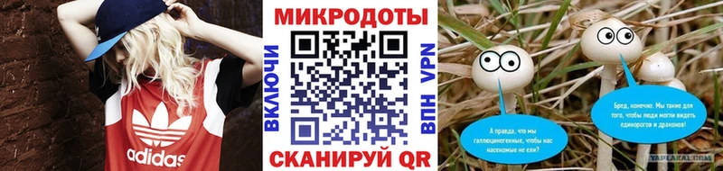 Купить где  Дзержинский  Псилоцибиновые грибы мицелий 