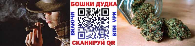 Купить закладки  Дзержинский  Бошки Шишки SATIVA & INDICA 